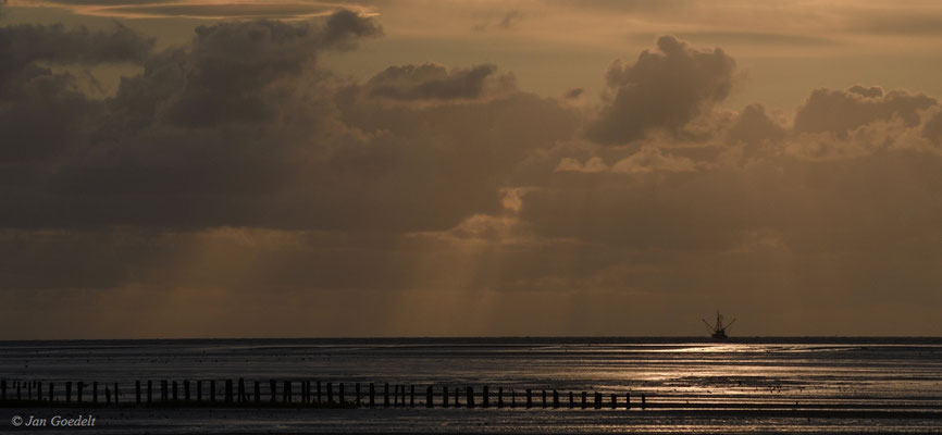 Lahnungen an der schleswig-holsteinischen Nordsee