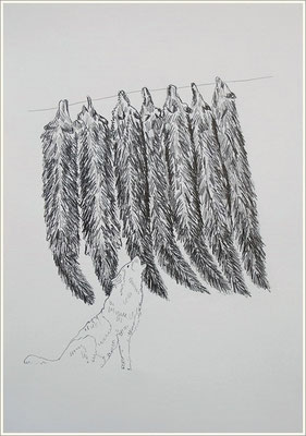 Bleistift auf Papier, 21 cm x 29,7 cm, - 2018 - " Natur "