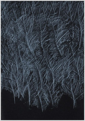 Farbstift auf Transparentpapier, ( Abdruck Blattform ) - 21 cm x 29,7 cm, - 2018 - " Natur "