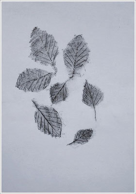 Bleistift auf Transparentpapier, ( Abdruck Blattform ) - 21 cm x 29,7 cm, - 2018 - " Natur "