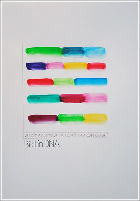 Aquarellfarbstift, Bleistift, Pigmenttinte-Liner auf Papier, 21 cm x 29,7 cm, - 2021 ( " Bild in DNA gespeichert " )