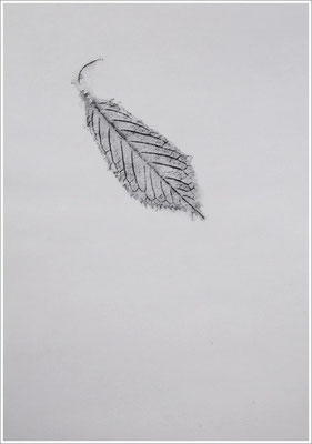 Bleistift auf Transparentpapier, ( Abdruck Blattform ) - 21 cm x 29,7 cm, - 2018 - " Natur "
