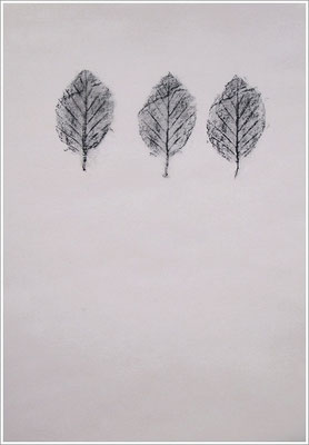 Bleistift auf Transparentpapier, ( Abdruck Blattform ) - 21 cm x 29,7 cm, - 2018 - " Natur "