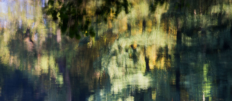 Als Monet im 21. Jh. spazieren ging.