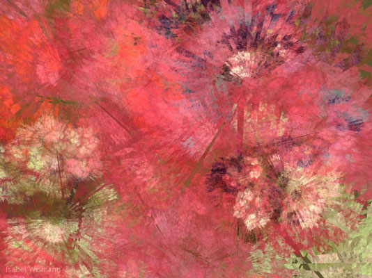 la vie en rose