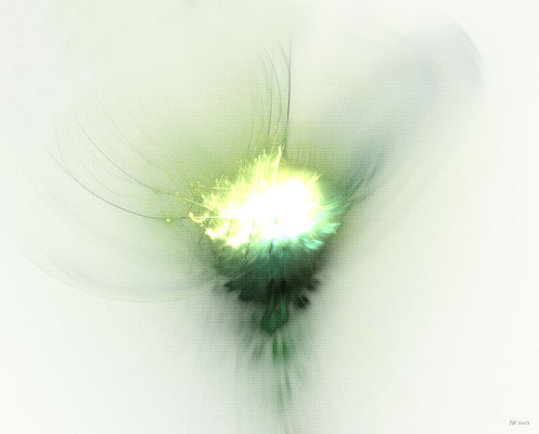 Blüte 2