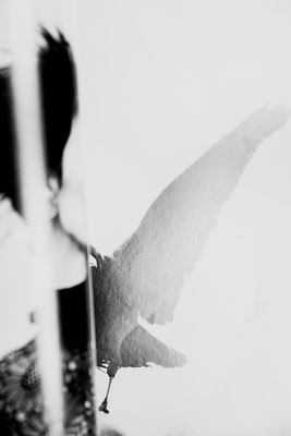 Metamorphose