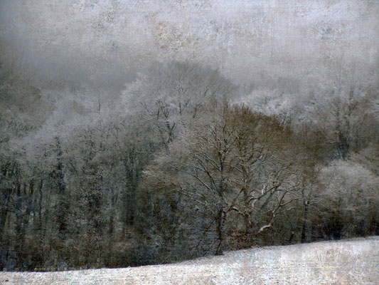 erster Schnee