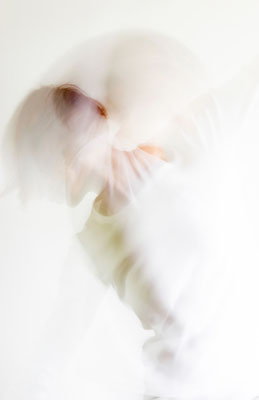 Serie: movement