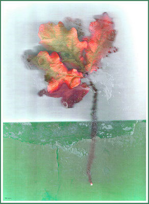 herbstzeitlos #2