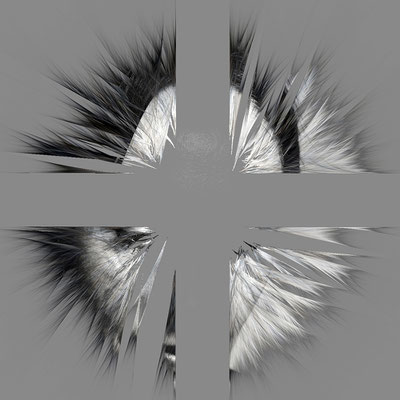 zerrissen