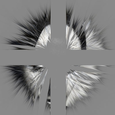 zerrissen