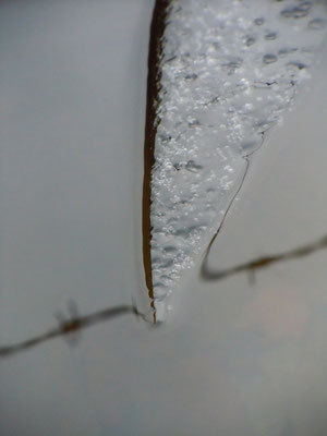messerscharf