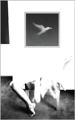 #4 (Fotomontage)