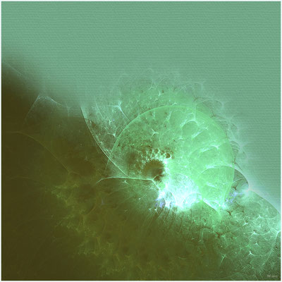 Ammonit