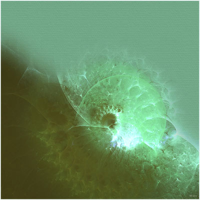 Ammonit