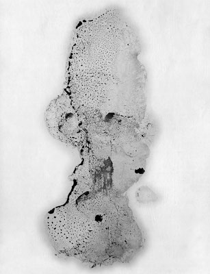 Denkerstirn (Acryl auf Polyvinylchlorid-Platte, 30 x 43 cm)