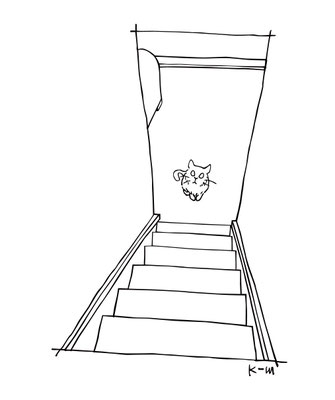 見上げる猫