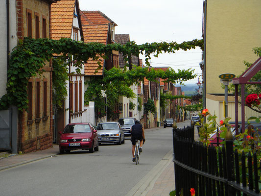 Straße Edenkoben in der Pfalz