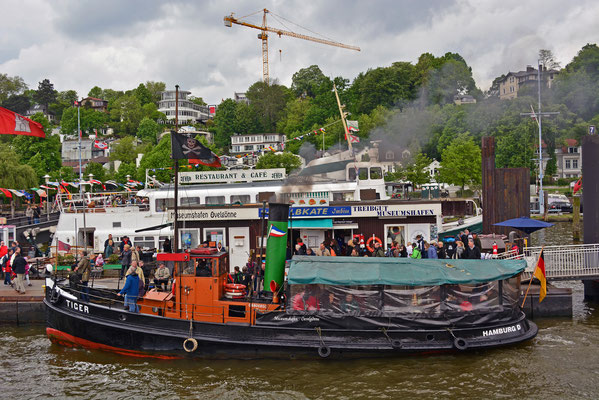 Hafengeburtstag im Museumshafen Övelgönne/Dampfschlepper TIGER