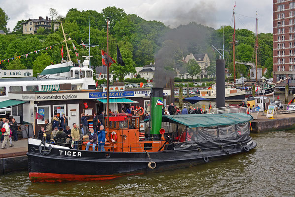 Hafengeburtstag im Museumshafen Övelgönne/Dampfschlepper TIGER