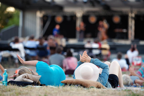 Kulturpicknick