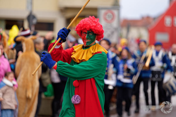 Heidingsfelder Faschingsumzug 2026