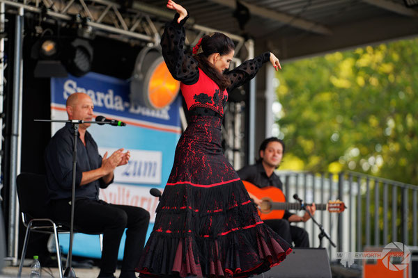 Trio Flamenco