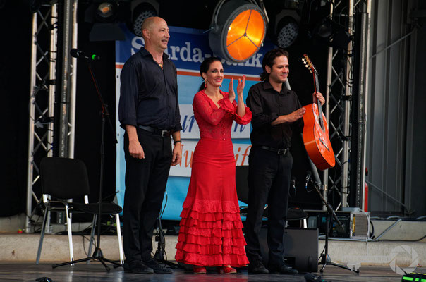 Trio Flamenco