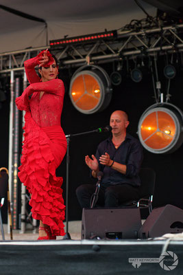 Trio Flamenco