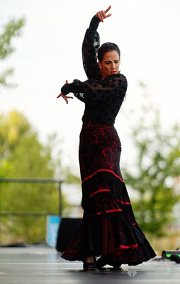 Trio Flamenco