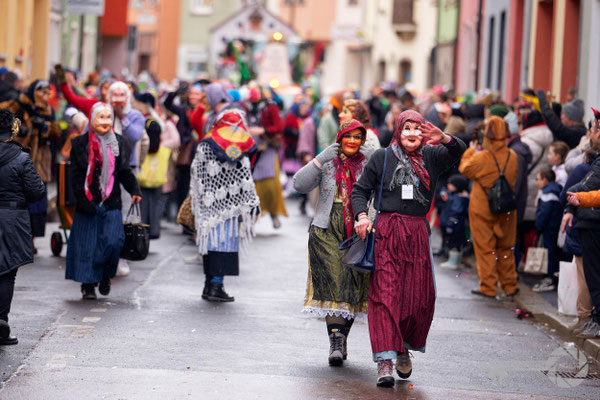 Heidingsfelder Faschingsumzug 2026