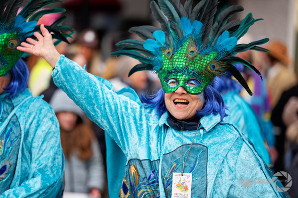 Heidingsfelder Faschingsumzug 2026
