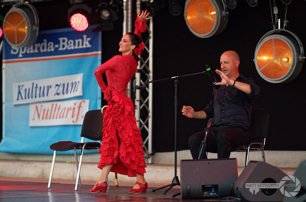 Trio Flamenco