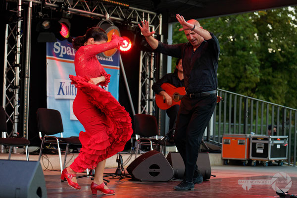 Trio Flamenco