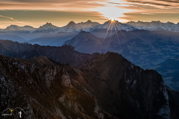 Jungfraustern