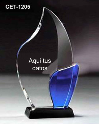 Reconocimiento CET 1205