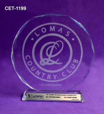 Reconocimiento CET 1199