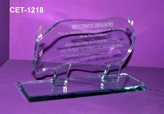 Reconocimiento CET 1218