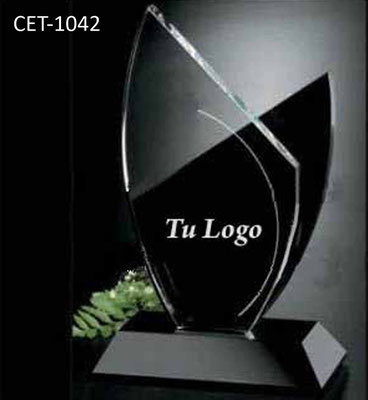 Reconocimiento CET 1042