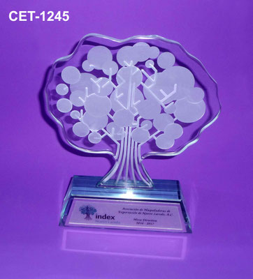 Reconocimiento CET 1245