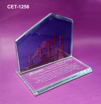 Reconocimiento CET 1256