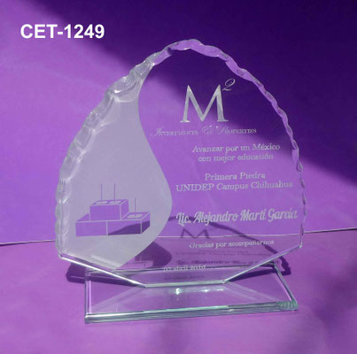 Reconocimiento CET 1249