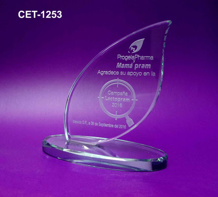 Reconocimiento CET 1253