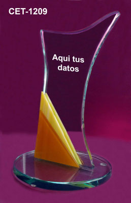 Reconocimiento CET 1209