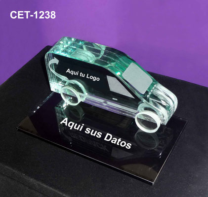 Reconocimiento CET 1238