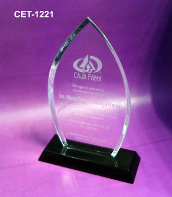 Reconocimiento CET 1221