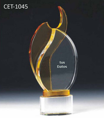 Reconocimiento CET 1045
