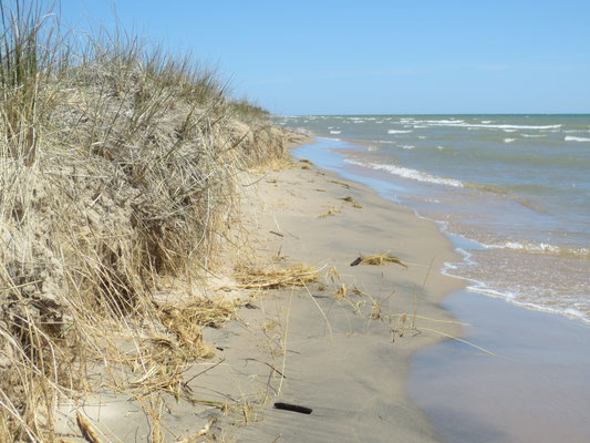 Kohler Dunes State Park