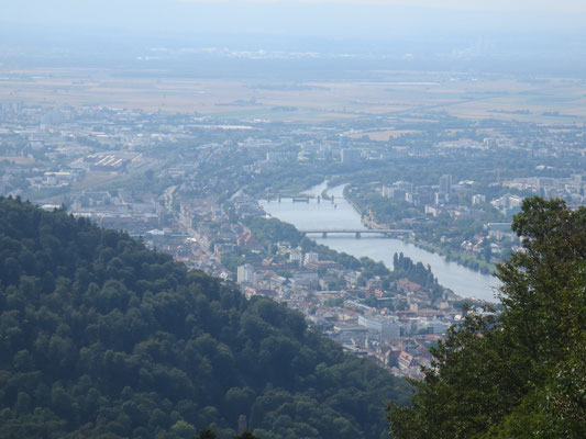 Heidelberg from Koenigstuhl